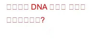 그렇다면 DNA 분리는 어떻게 이루어지나요?